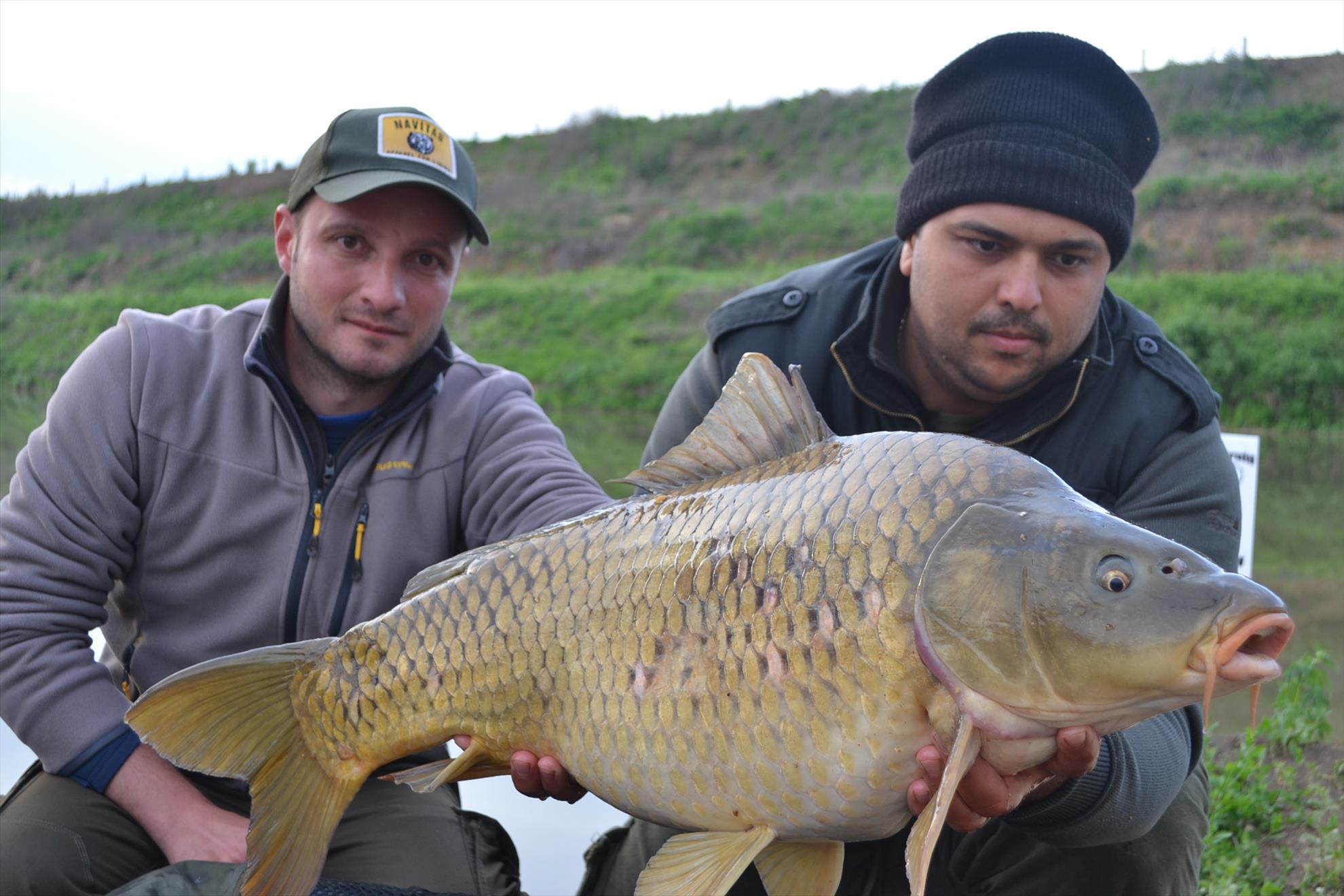 Gruiu (La da-i bataie)  8 - 10 mai 2015 - dsc1130.JPG